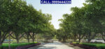 Godrej Forest Estate Plots