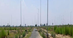 Plots in Sector 151 Noida – A Prime Investment Destination for Homebuyers and Investors