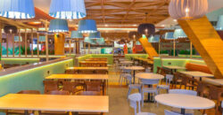 Ace 1 BHK Apartments in Yamuna Expressway