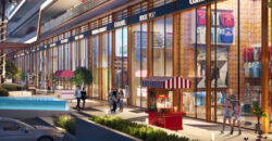 Ace 1 BHK Apartments in Yamuna Expressway