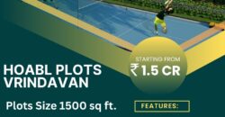 Unlock Spiritual Living with Abhinandan Lodha Plots Vrindavan