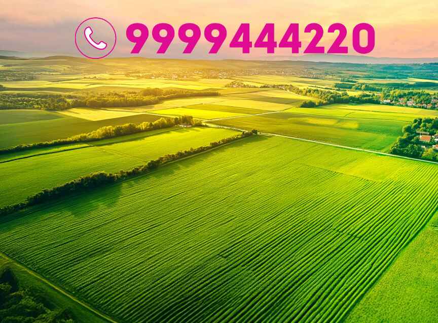 Arvind Sanand Ahmedabad