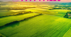 Arvind Sanand Ahmedabad