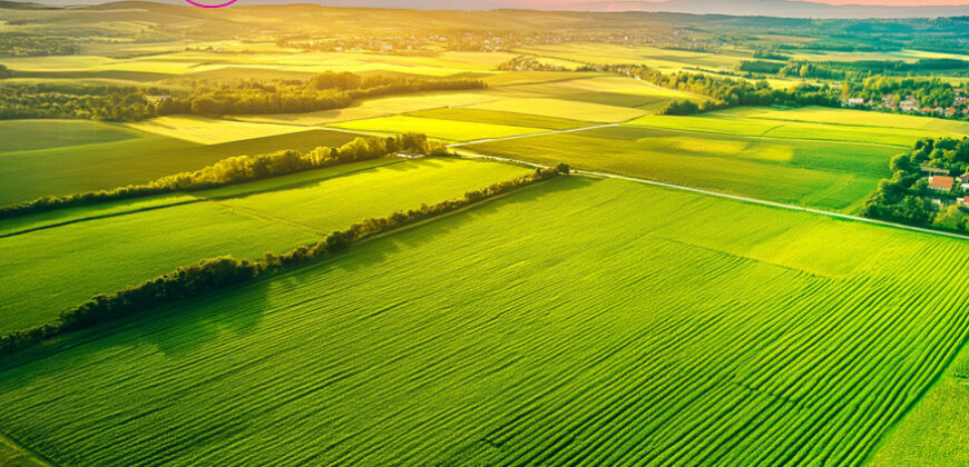 Arvind Sanand Ahmedabad